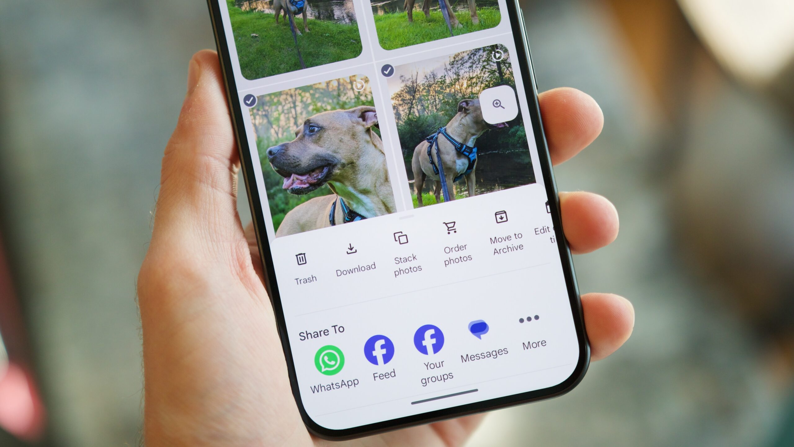 New Google Photos feature for filtering albums by people and pets