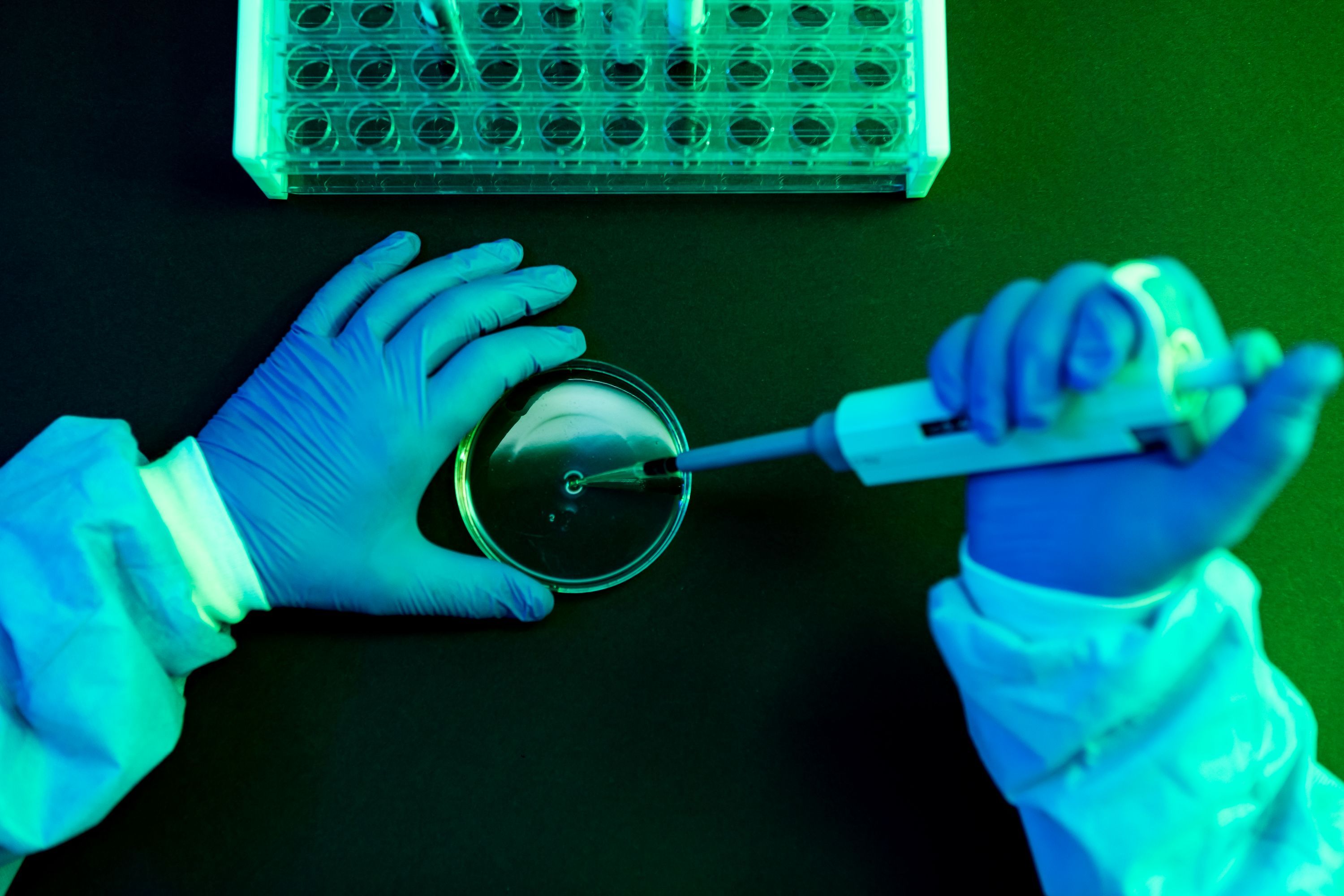Infección humana por el virus Shamonda: lo que se sabe