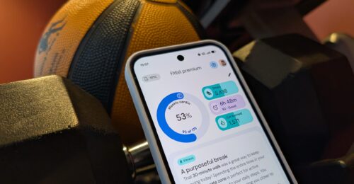 The classic Fitbit app is finally dead