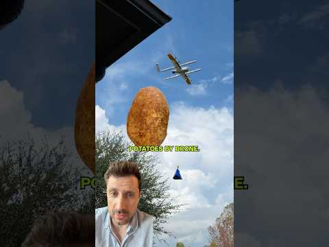Comienzan las guerras de patatas en internet