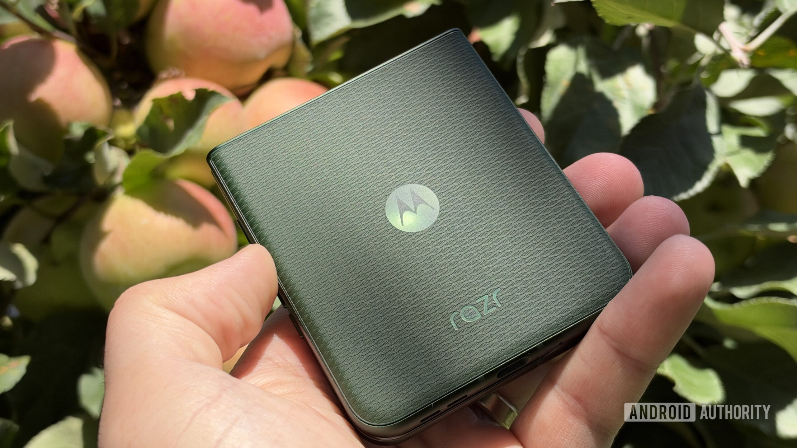 Motorola's forgotten foldable is the one I’d actually buy