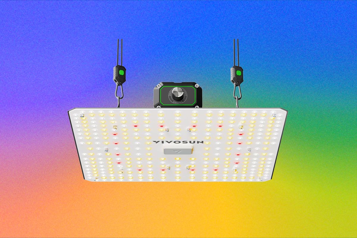 The Best LED Grow Lights for Houseplants This Winter