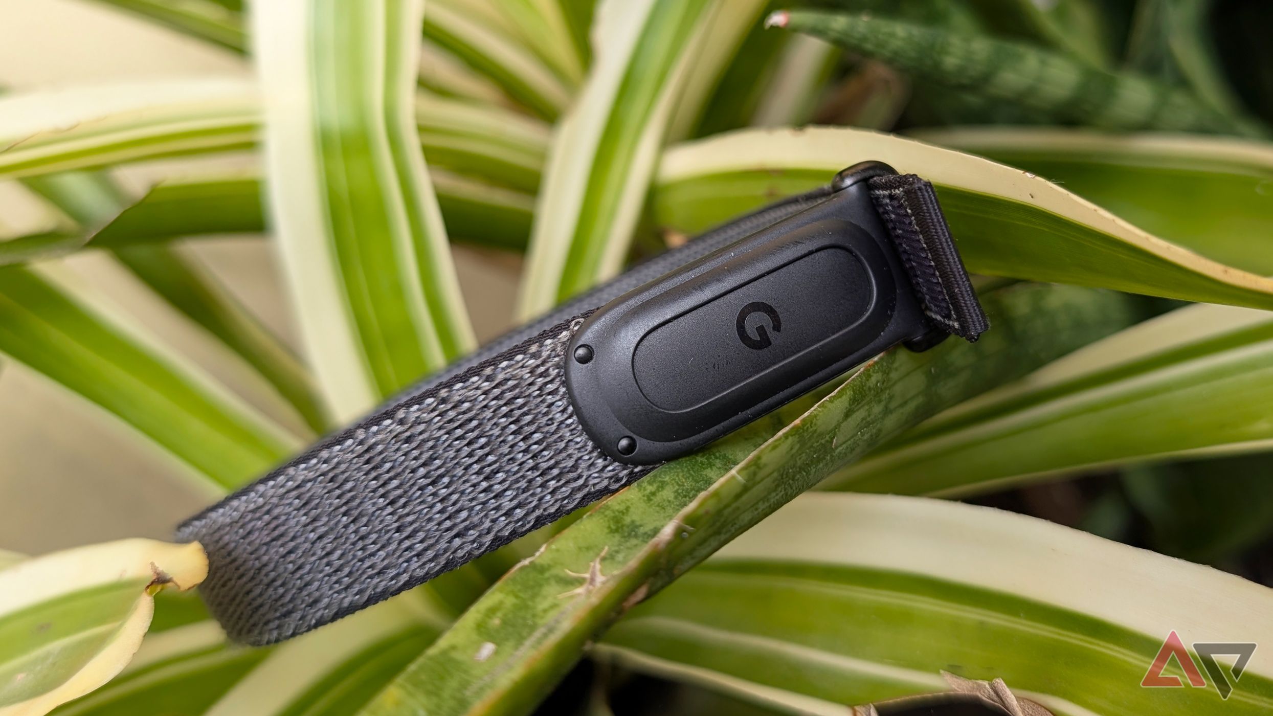 Google to launch Fitbit Edge: a new wearable option