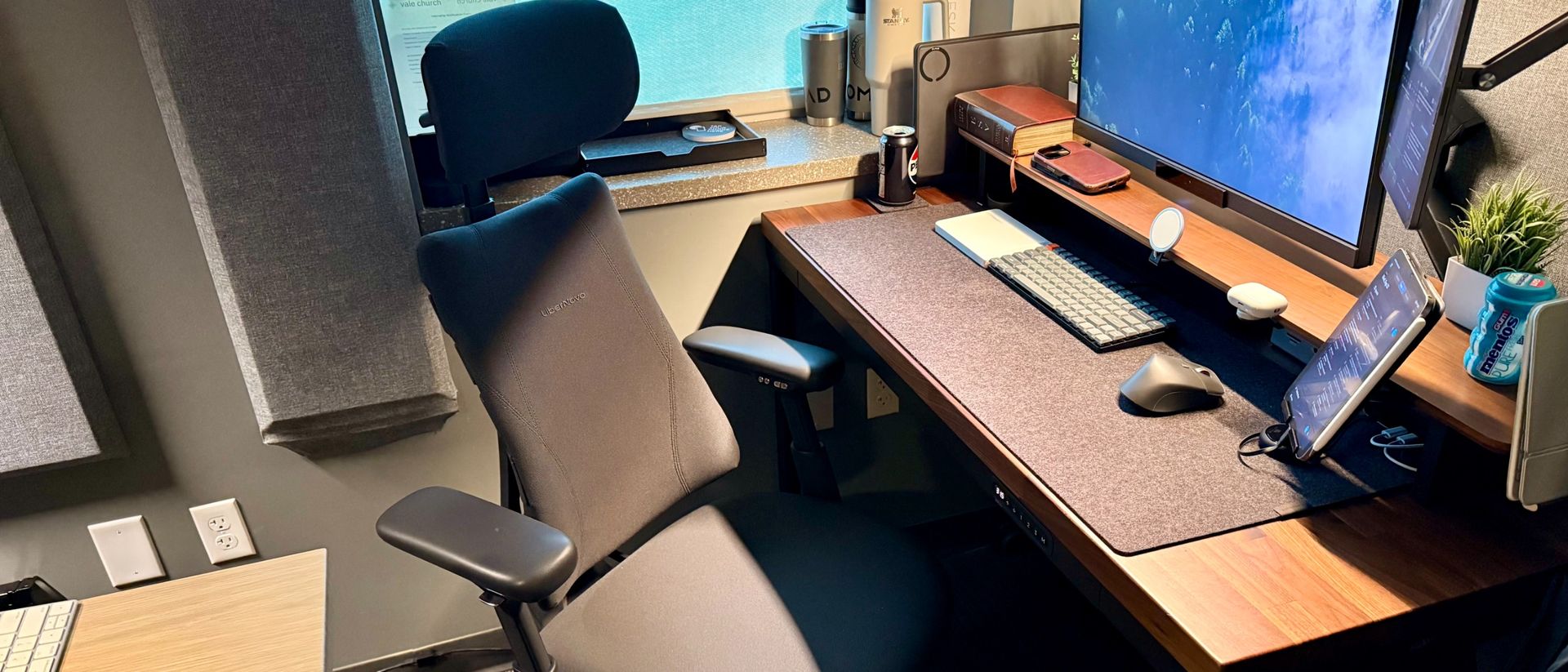 Review of the LiberNovo Omni Pro Dynamic Ergonomic Chair