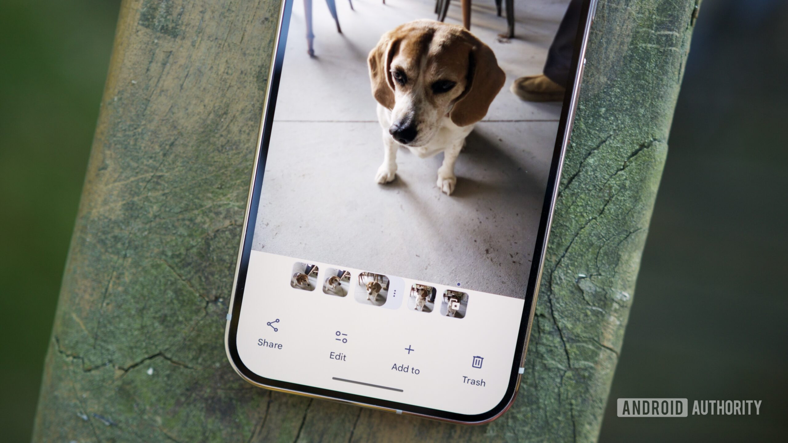 Google trabaja en solucionar un error en Google Photos