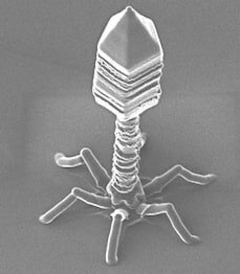 Primer tratamiento con virus diseñado por IA en humanos